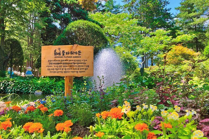 Nami Island from Seoul One Day Trip - Value for Money: Is It Worth $450?