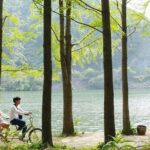 Nami Island with The Garden of Morning Calm Rail Bike from Seoul - Practical Details and Tips