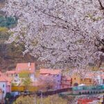 Nami, Petite France, Italian Village and Gangchon Rail Bike Tour - Who Will Love This Tour?