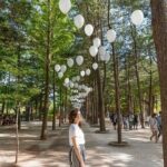 Nami, Petite France, Italian Village and Gangchon Rail Bike Tour - What We Love About the Tour