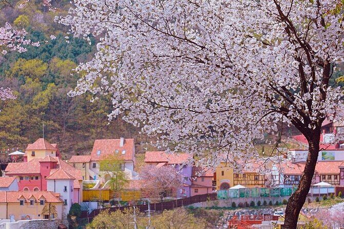 Nami, Petite France, Italian Village and Gangchon Rail Bike Tour - Who Will Love This Tour?