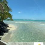 Namua Turtle Island Tour with Snorkeling - The Practicalities and Value