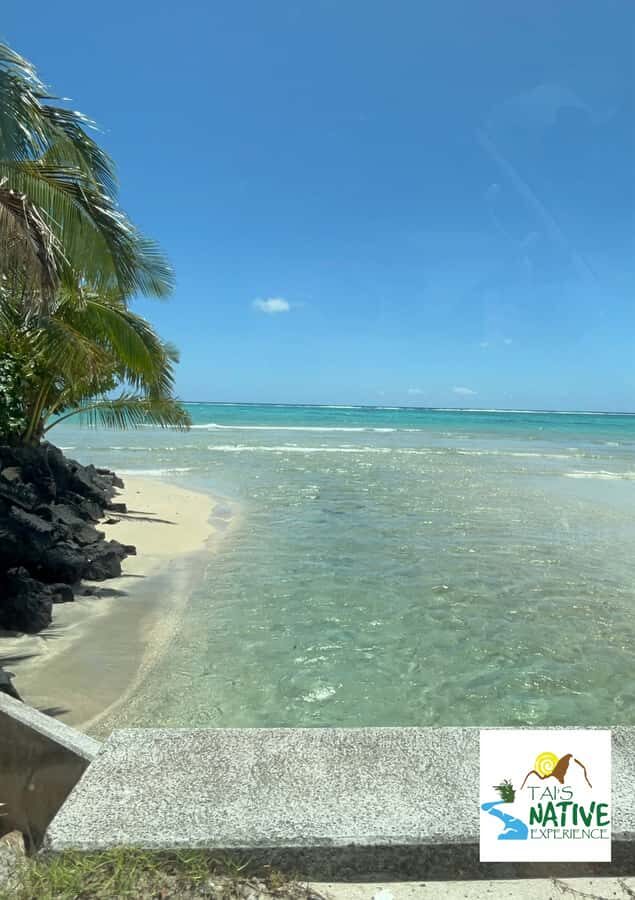 Namua Turtle Island Tour with Snorkeling - The Practicalities and Value