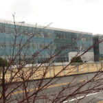 Nanjing Airport To City Transport / rental car - Who Will Love This Service?