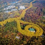 Nanjing Flexible Private Day Tour from Wuxi by Bullet Train - Who This Tour Is Best For