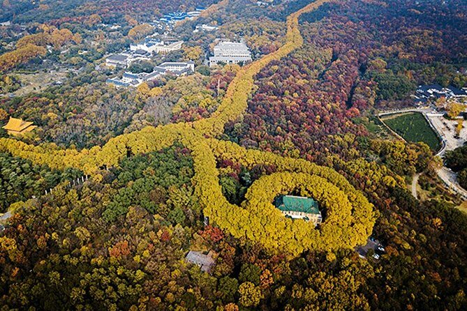 Nanjing Flexible Private Day Tour from Wuxi by Bullet Train - Who This Tour Is Best For