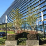 NANJING Train Station Transport / rental car - Detailed Review of the Service Experience