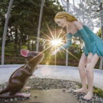 Nantou: Qingjing Small Swiss Garden Ticket & Combos - Practicalities and Tips for Visiting