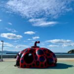 Naoshima Island Cycling Adventure: Private Local Tour - An In-Depth Look at the Naoshima Island Cycling Tour