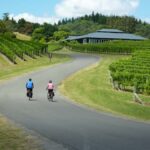 Napier: Cape Coast Winery Tour on E-Bikes - What Makes This Tour Stand Out?