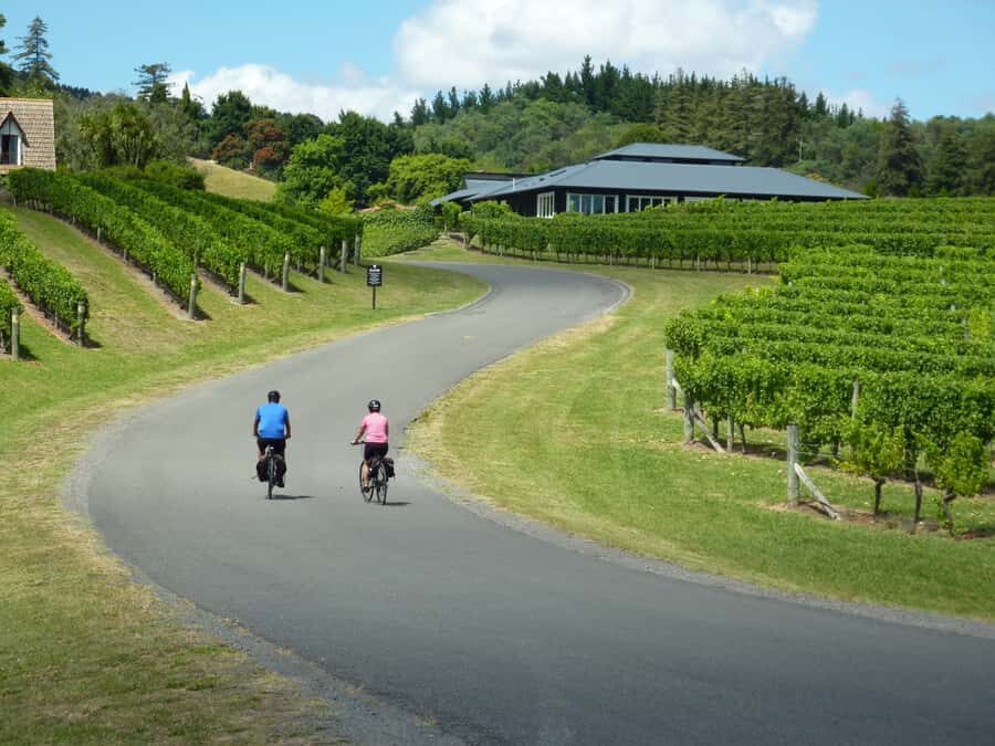 Napier: Cape Coast Winery Tour on E-Bikes - What Makes This Tour Stand Out?