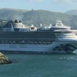 Napier Cruise Excursion Art Deco Tour and Wine Tasting - Transportation & Group Dynamics