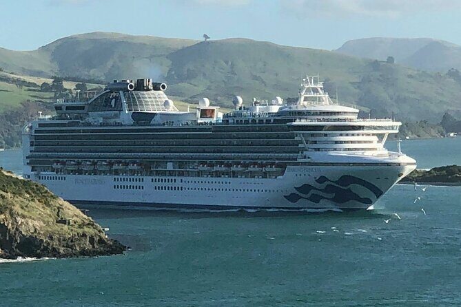 Napier Cruise Excursion Art Deco Tour and Wine Tasting - Transportation & Group Dynamics