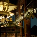 Nara After Dark: Sacred Deer, Lantern Walk with Hidden Views - The Experience in Detail