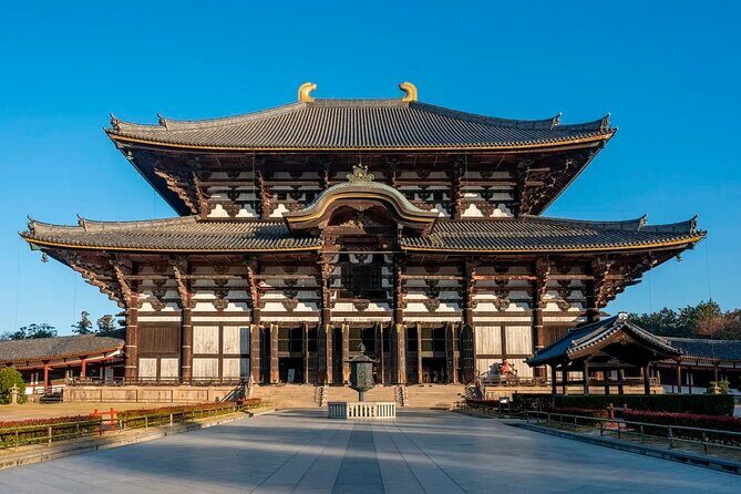 Nara Afternoon Tour from Kyoto - What Sets This Tour Apart?