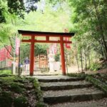 Nara and kyoto adventures private vehicle tour - The Experience From the Reviews and What You’ll Love