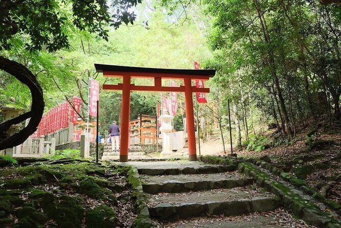 Nara and kyoto adventures private vehicle tour - The Experience From the Reviews and What You’ll Love