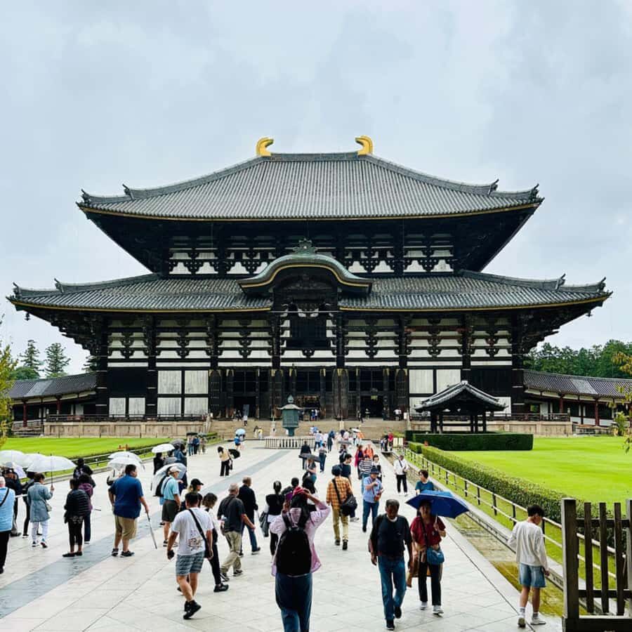 Nara: Deer Park & UNESCO Sites Day Trip with Hotel Pickup - How the Day Unfolds: A Step-by-Step Breakdown