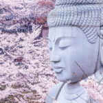 Nara: Discover a Giant Stone Buddha in the Forest Hills - What’s Included and What to Keep in Mind