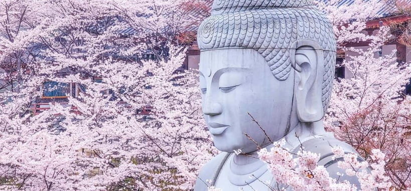 Nara: Discover a Giant Stone Buddha in the Forest Hills - What’s Included and What to Keep in Mind