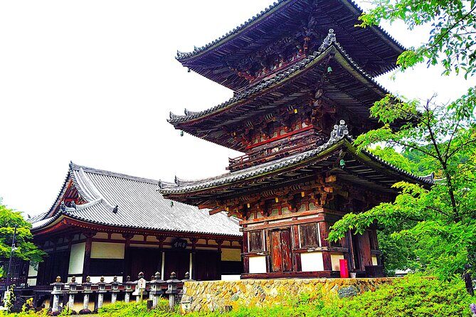 Nara: Discover a Giant Stone Buddha in the Forest Hills - Practical Details and Value