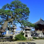 Nara: Dusk Walk with Calligraphy and Lanterns - Detailed Experience Review