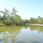 Nara Early Morning Tour (Kyoto or Osaka Departure Available) - Why This Tour Stands Out
