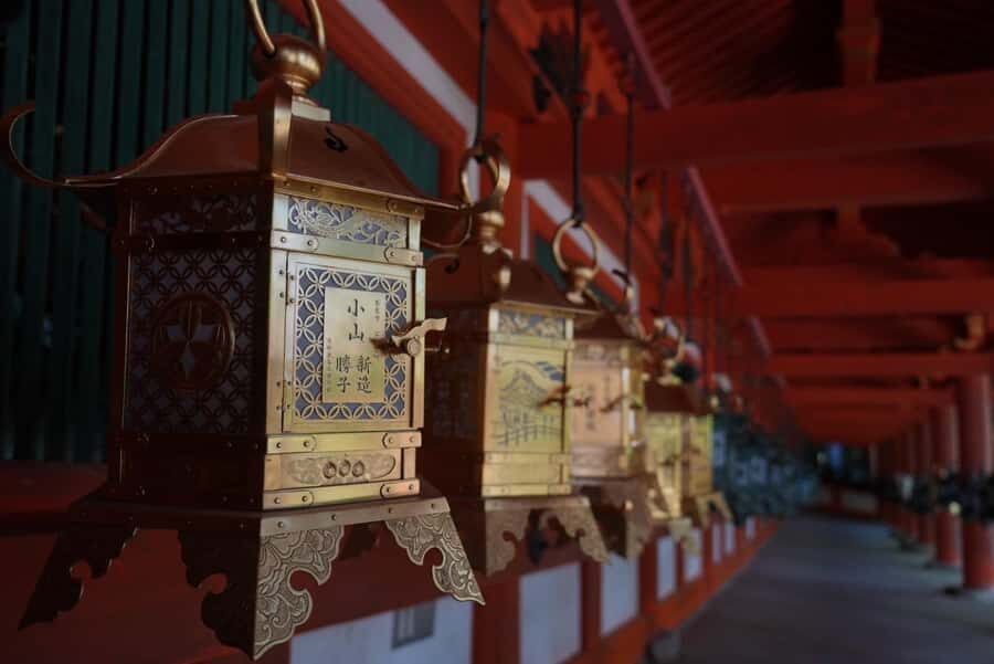 Nara Early Morning Tour (Kyoto or Osaka Departure Available) - Who Is This Tour Best For?