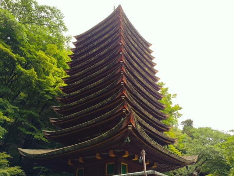 Nara: Explore Tanzan Shrines Pagoda and Sacred History - Practical Details and What to Expect