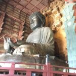 Nara: Full-Day Private Guided Tour - What’s Included & Whats Extra