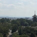 Nara: Full-Day Private Guided Tour - An In-Depth Look at the Tour Itinerary