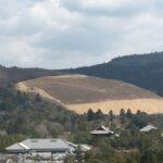 Nara: Half-Day Private Guided Tour - Final Thoughts: Is This Tour Worth It?