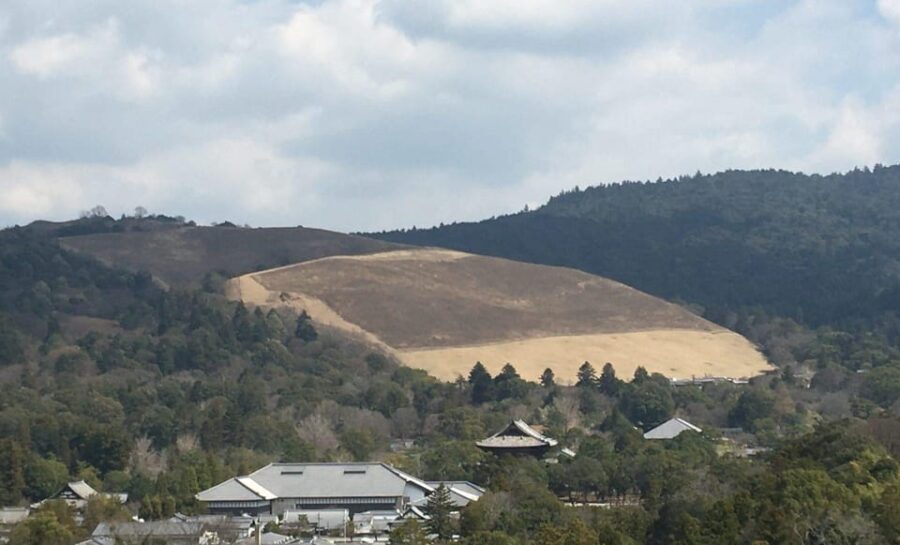 Nara: Half-Day Private Guided Tour - Final Thoughts: Is This Tour Worth It?