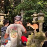 Nara: Half-Day Private Tour of 4 Must-See Spots & Deer Park - Exploring Nara’s Top Spots in Depth
