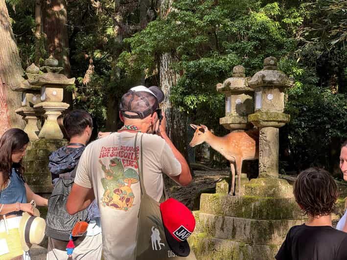 Nara: Half-Day Private Tour of 4 Must-See Spots & Deer Park - Exploring Nara’s Top Spots in Depth