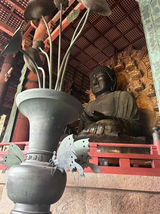 Nara: Half-Day Walking Tour | Spanish Private - Practical Details & What Sets This Tour Apart