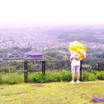 Nara: Hike Mt. Wakakusa and Encounter Wild, Free-Roaming Deer - Authentic Insights from Past Participants