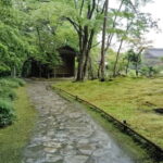Nara: Isuien Garden Tour with Matcha Tea Experience - Why This Tour Offers Great Value