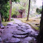 Nara: Isuien Garden Tour with Matcha Tea Experience - Final Thoughts