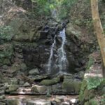 Nara: Mt. Ikoma Guided Hiking Tour with Cable Car and Views - An In-Depth Look at the Mt. Ikoma Guided Hike