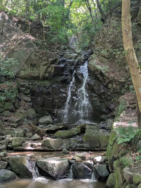 Nara: Mt. Ikoma Guided Hiking Tour with Cable Car and Views - An In-Depth Look at the Mt. Ikoma Guided Hike