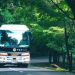 Nara Mt.Wakakusa Hilltop Bus From JR or Kintetsu Nara Station - Who Will Love This Tour?