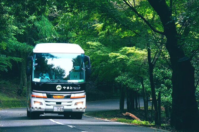 Nara Mt.Wakakusa Hilltop Bus From JR or Kintetsu Nara Station - Who Will Love This Tour?