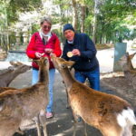Nara: Private Custom Walking Tour with Local Guide - The Itinerary: What You Can Expect