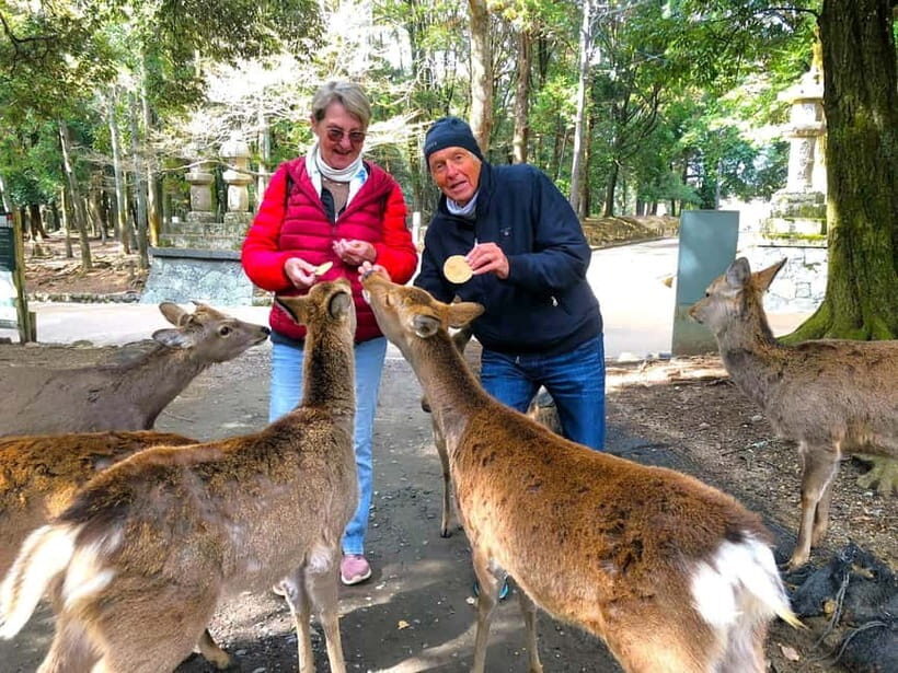 Nara: Private Custom Walking Tour with Local Guide - The Itinerary: What You Can Expect