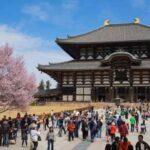 Nara: Private Full-Day Tour with Licensed Guide - Practical Details & What to Keep in Mind