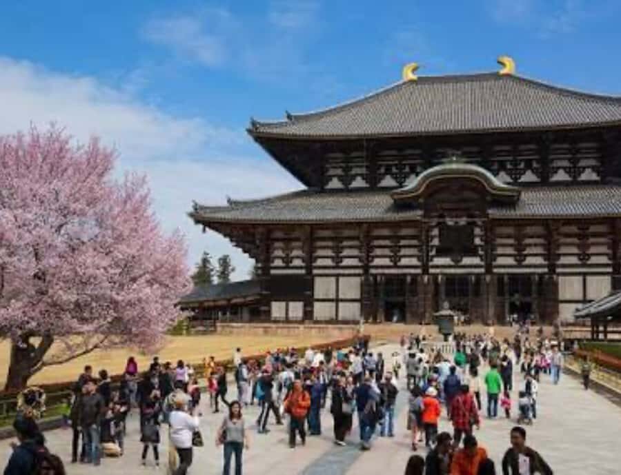 Nara: Private Full-Day Tour with Licensed Guide - Practical Details & What to Keep in Mind