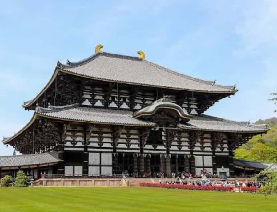 Nara: Private Full-Day Tour with Licensed Guide - Who Is This Tour Best For?
