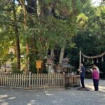 Nara: Private Tour of Japan's Oldest Shrine, Omiwa Shrine - What’s Included in the Tour?