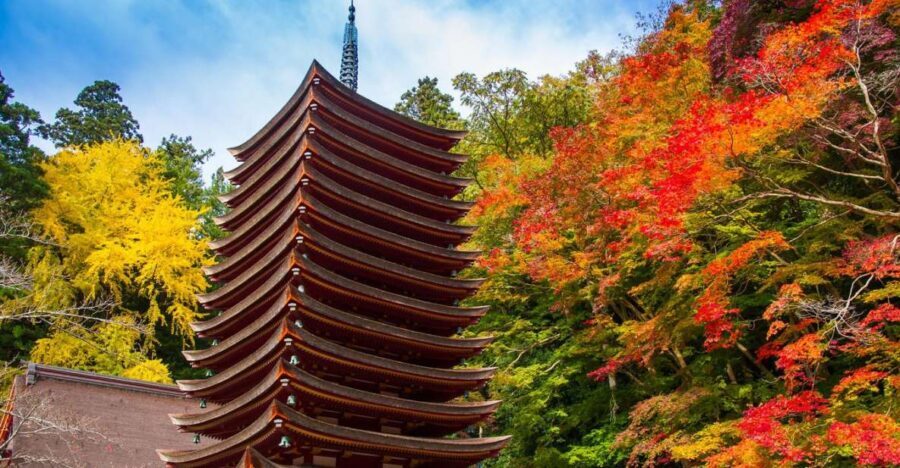 Nara: Private Tour with Private Guide - What’s Included and What’s Not?